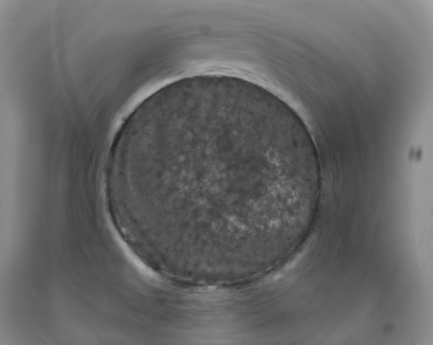 X0000092011525200709201519