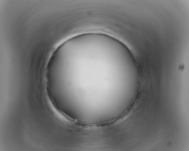 X0000092011526200709201519