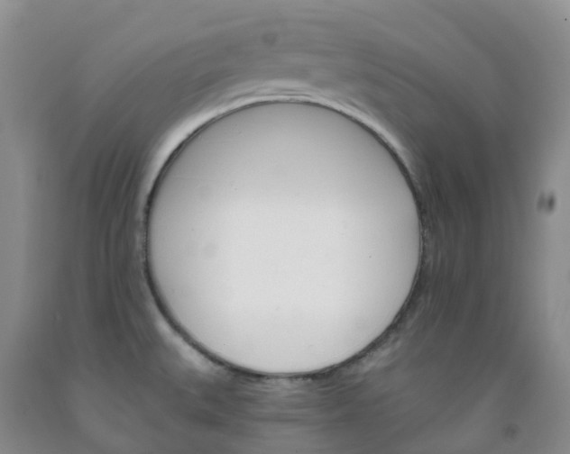 X0000092011527200709201519
