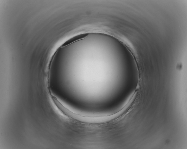X0000092011528200709201519