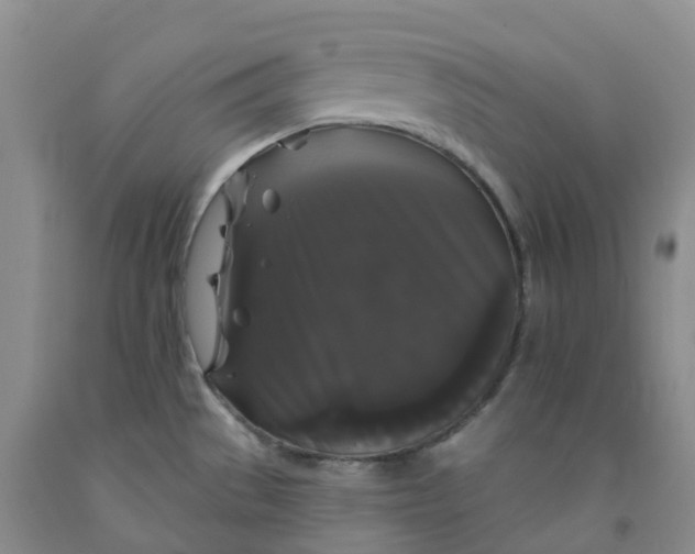 X0000092011529200709201519
