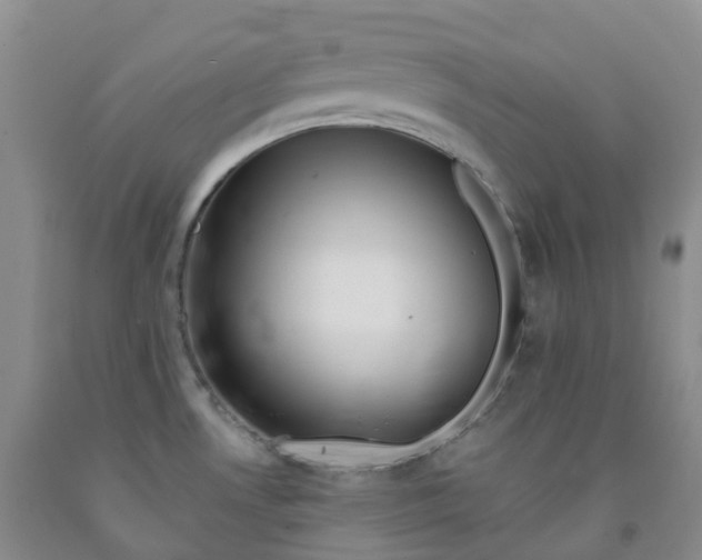 X0000092011530200709201519