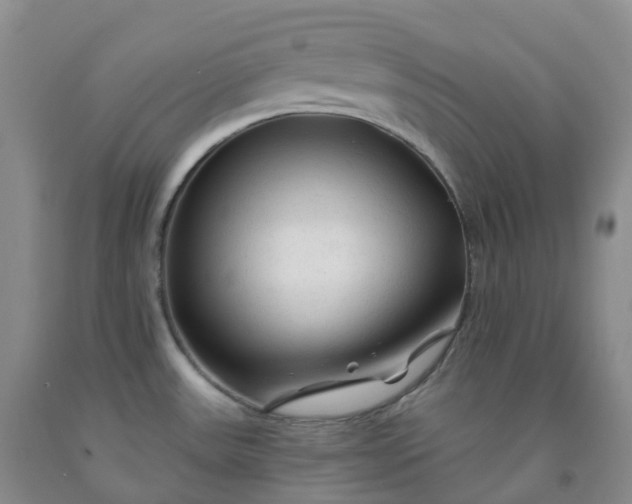 X0000092011531200709201519