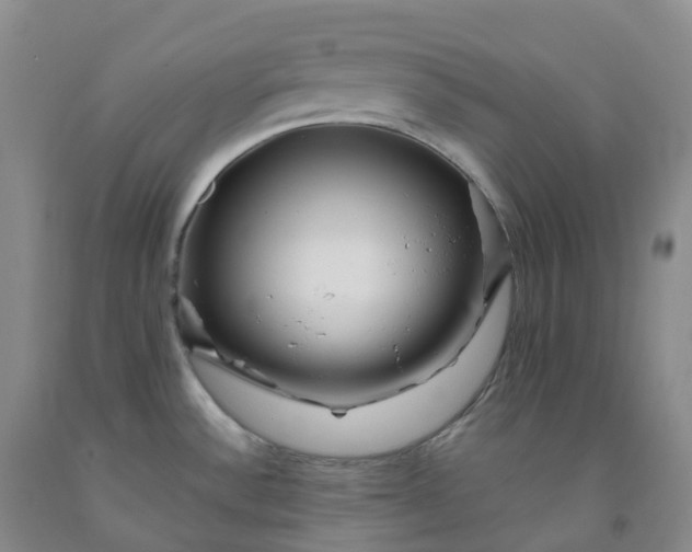X0000092011532200709201520