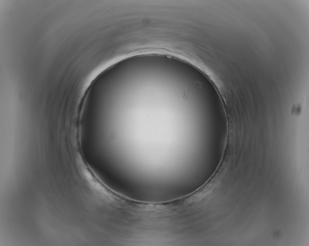 X0000092011534200709201520
