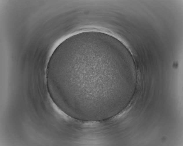 X0000092011535200709201520