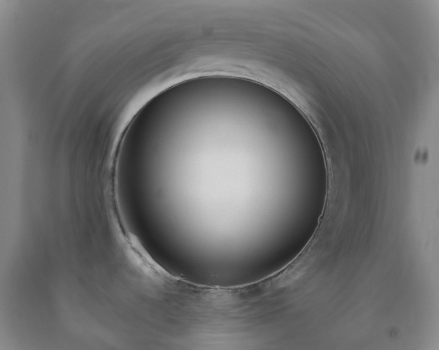 X0000092011536200709201520