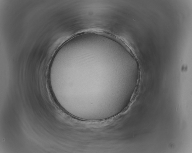 X0000092010001200709271538