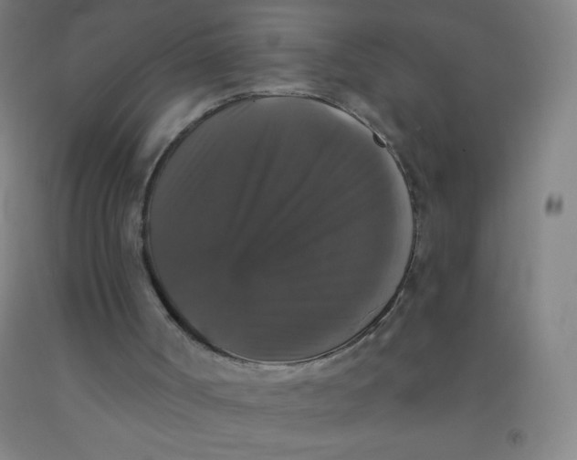 X0000092010002200709271538