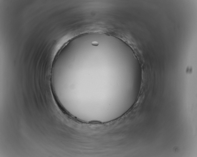 X0000092010003200709271538