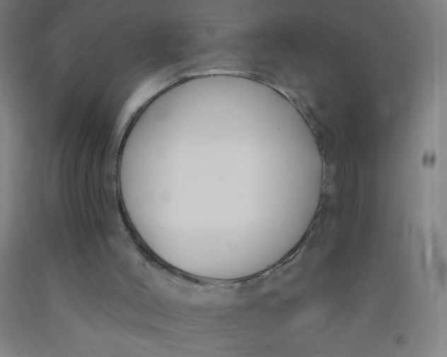 X0000092010004200709271538