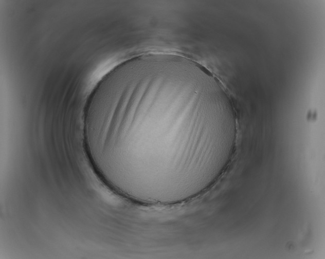 X0000092010005200709271538