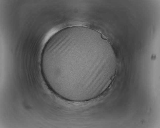 X0000092010006200709271538