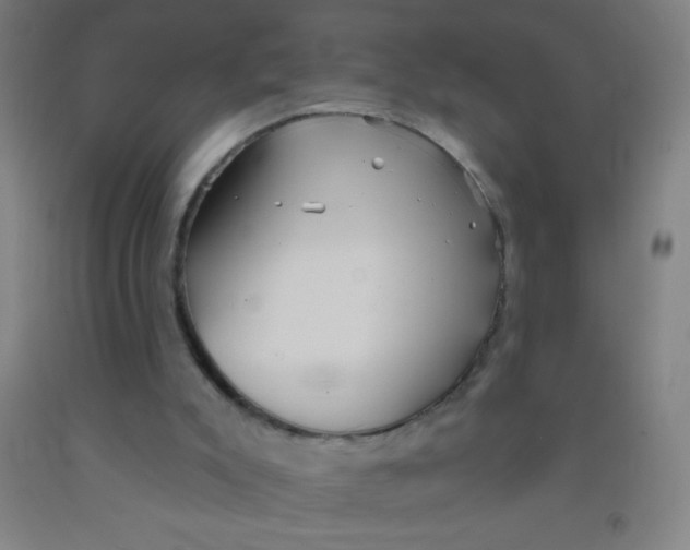 X0000092010007200709271538