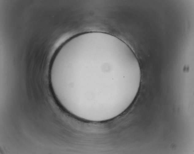 X0000092010008200709271538