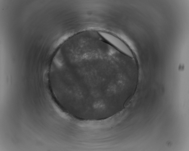 X0000092010009200709271538