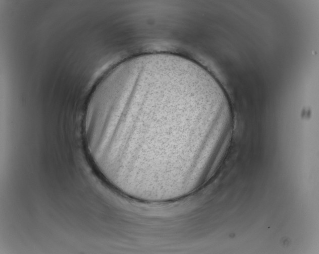 X0000092010010200709271538