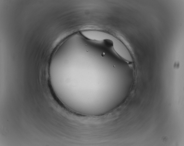 X0000092010011200709271538