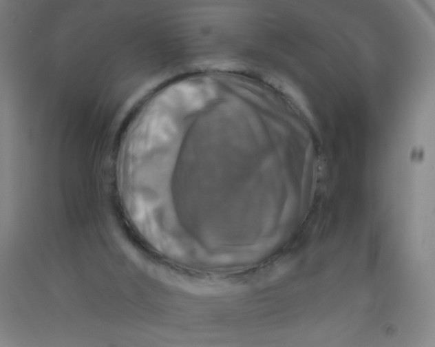 X0000092010012200709271538