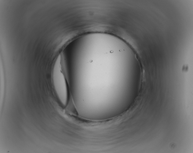 X0000092010013200709271538