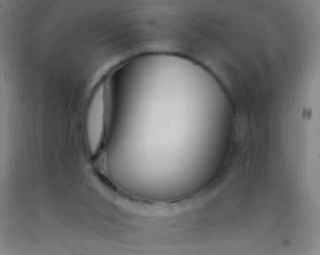 X0000092010015200709271538