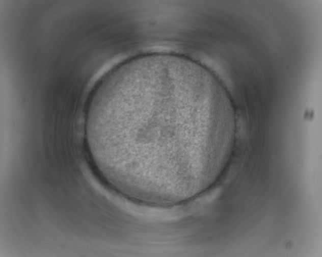 X0000092010016200709271538