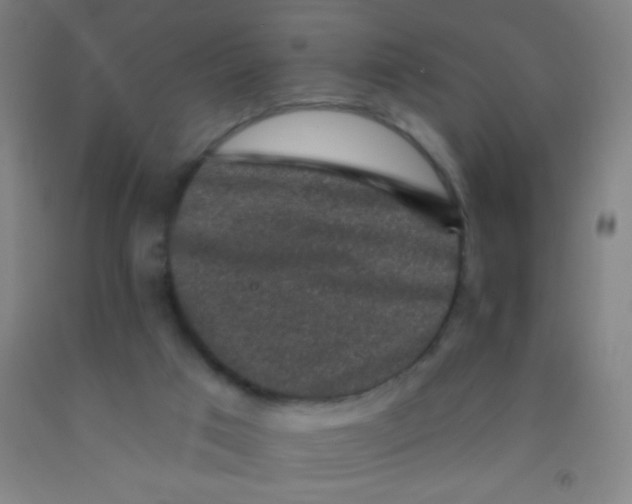 X0000092010017200709271538