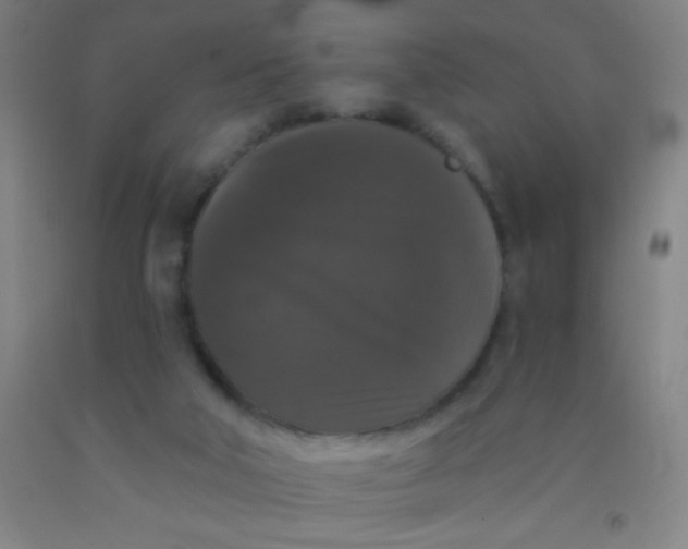 X0000092010018200709271538