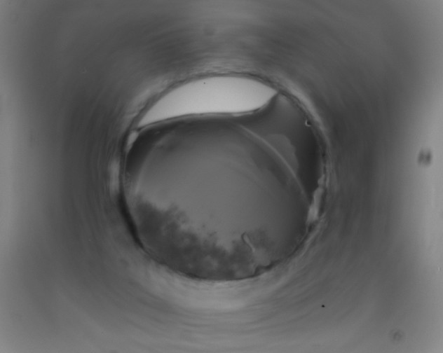 X0000092010019200709271538