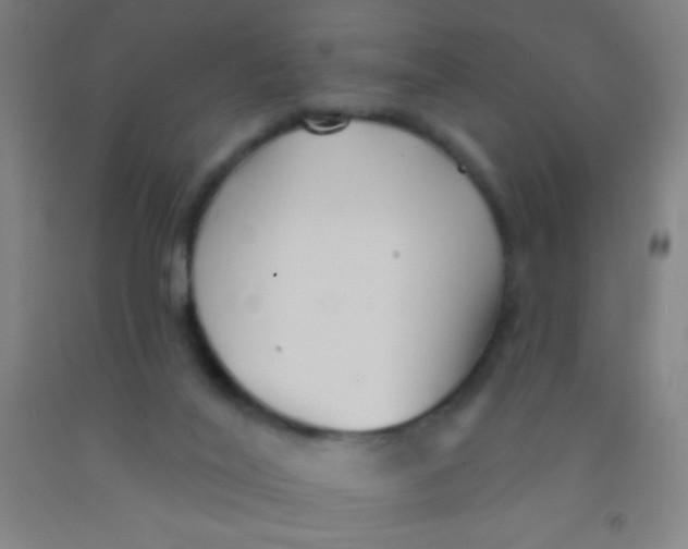 X0000092010020200709271538