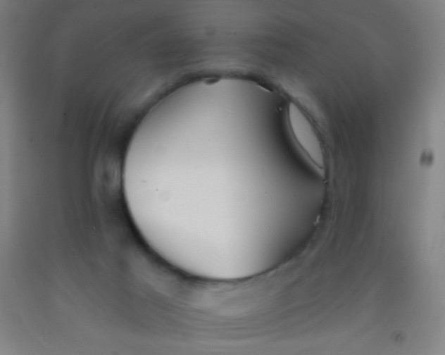 X0000092010021200709271538