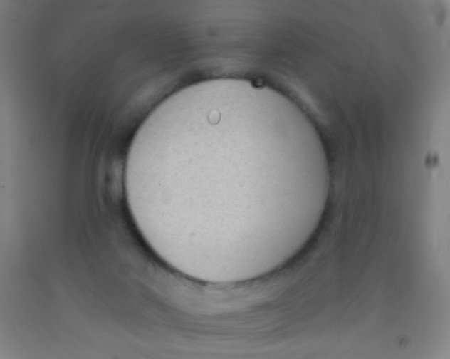 X0000092010022200709271538