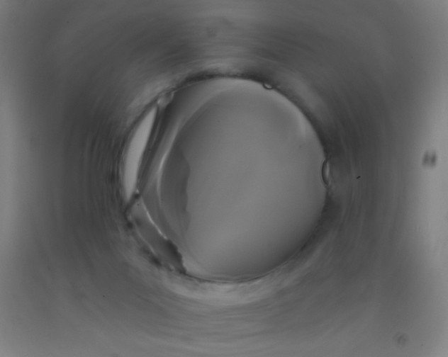 X0000092010023200709271538