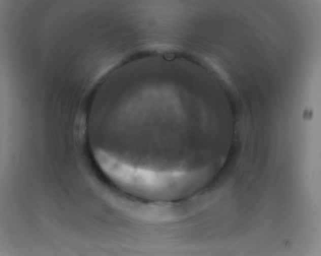 X0000092010024200709271538