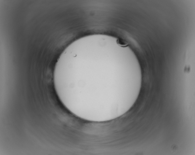 X0000092010025200709271538