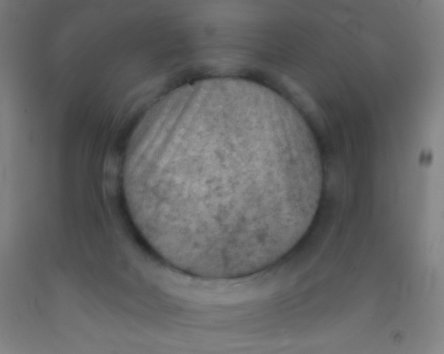 X0000092010026200709271538