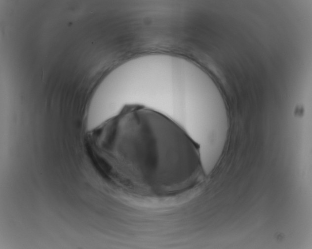 X0000092010027200709271538