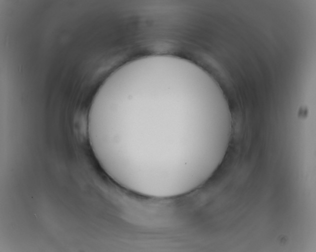 X0000092010028200709271538