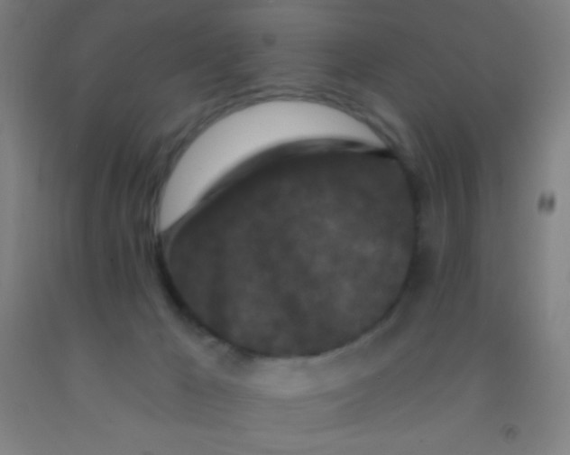 X0000092010029200709271538