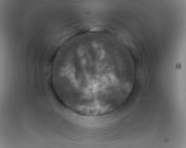 X0000092010030200709271538