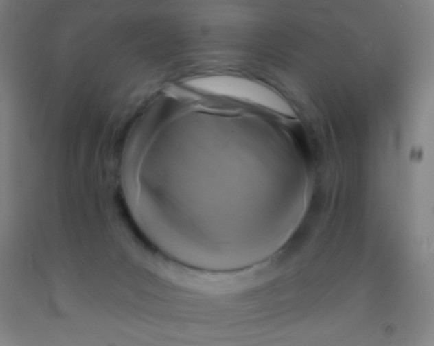 X0000092010031200709271538