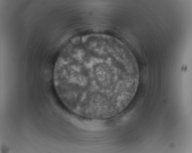 X0000092010032200709271538