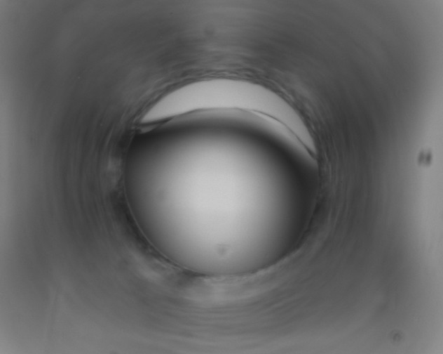 X0000092010033200709271538