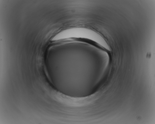 X0000092010035200709271538