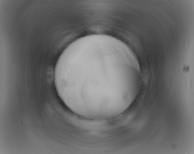 X0000092010036200709271538