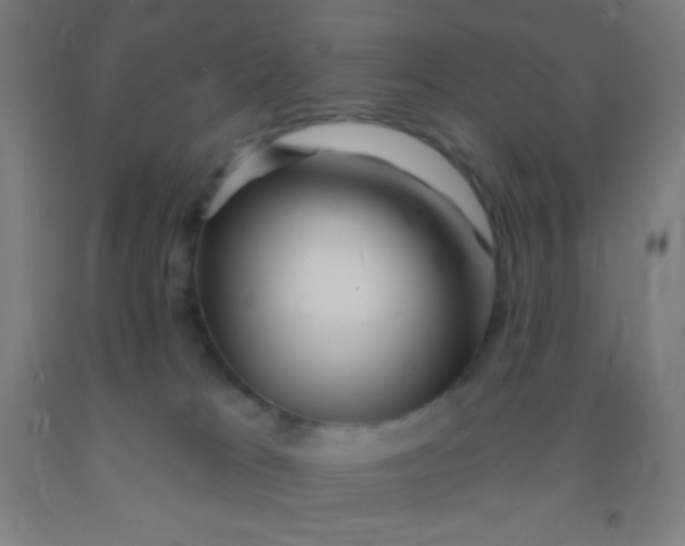 X0000092010037200709271538