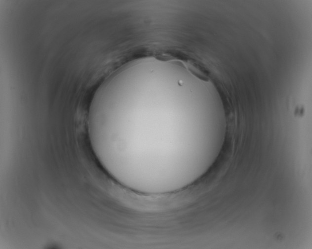 X0000092010038200709271538