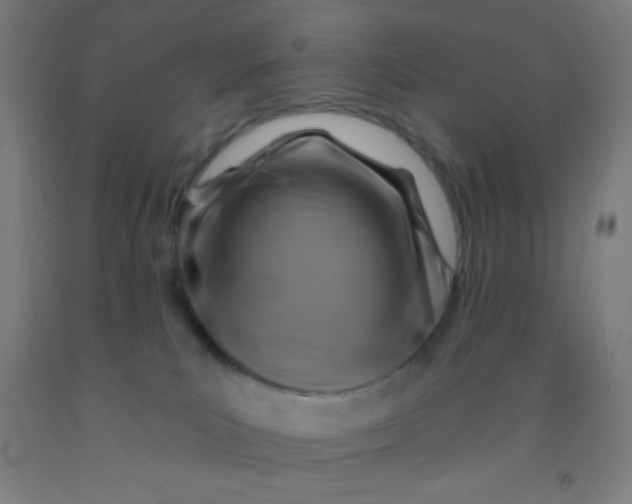 X0000092010039200709271538