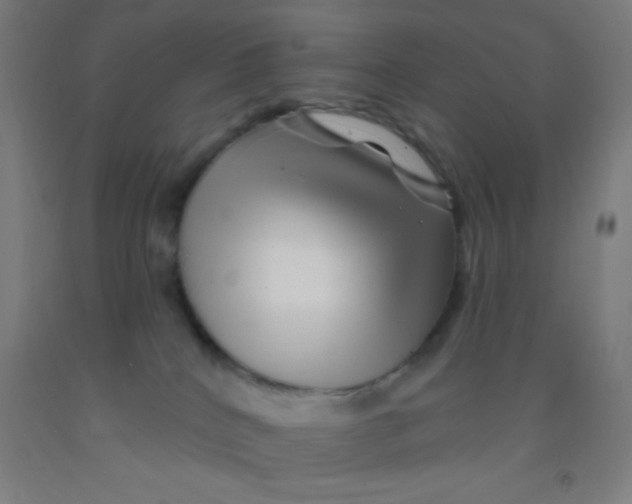 X0000092010040200709271538