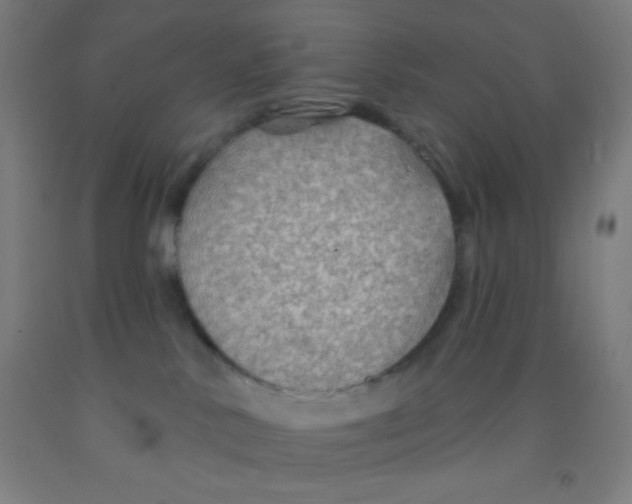 X0000092010042200709271538